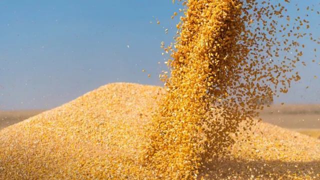 Imagem ilustrativa da notícia Bonna destaca instalação de usina de etanol de milho no Pará