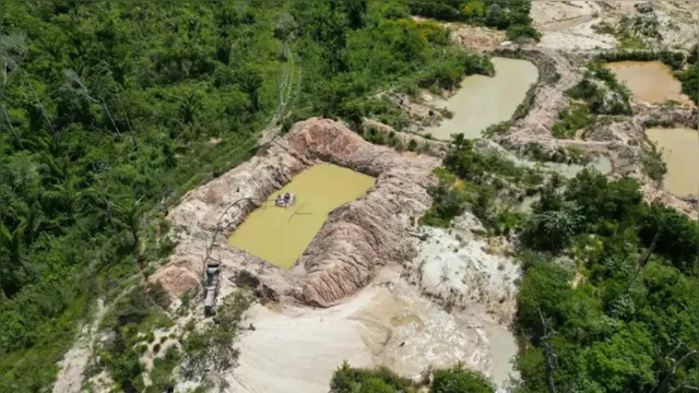 Imagem ilustrativa da notícia Polícia Federal fecha 3 garimpos em terra indígena, no Pará