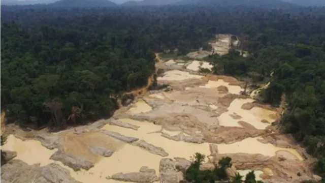 Imagem ilustrativa da notícia Nos EUA, políticos defendem mina de potássio na Amazônia 