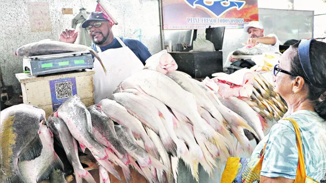 Imagem ilustrativa da notícia Semana Santa: procura por peixe começa a se intensificar