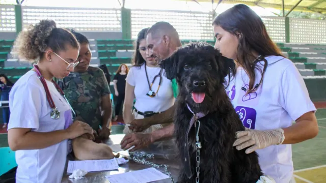 Imagem ilustrativa da notícia Ufra oferece atendimento veterinário gratuito em Belém