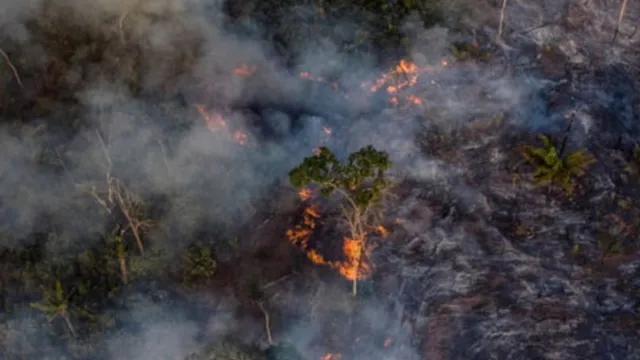 Imagem ilustrativa da notícia Seca faz indígenas temerem falta de alimentos e queimadas