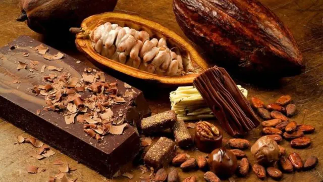 Imagem ilustrativa da notícia Páscoa: ciência por trás do cacau e do chocolate