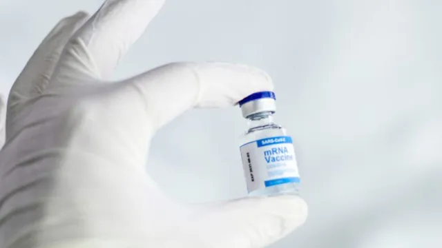 Imagem ilustrativa da notícia Vacinas de mRNA podem prevenir gripe, herpes e tratar câncer