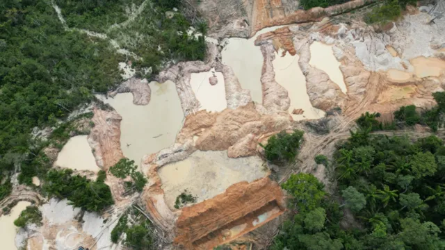 Imagem ilustrativa da notícia PF fecha garimpo ilegal em Terra Indígena Kayapó, no Pará