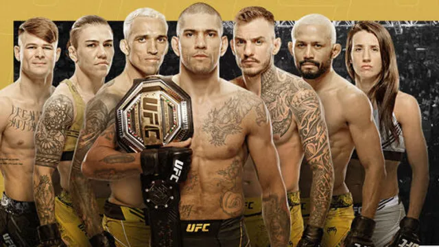 Imagem ilustrativa da notícia Conheça os 7 brasileiros que estarão em ação no UFC 300