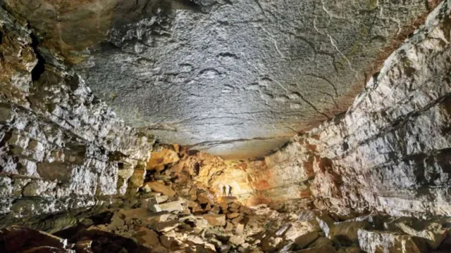 Imagem ilustrativa da notícia Pegadas de dinossauros são achadas em caverna na França