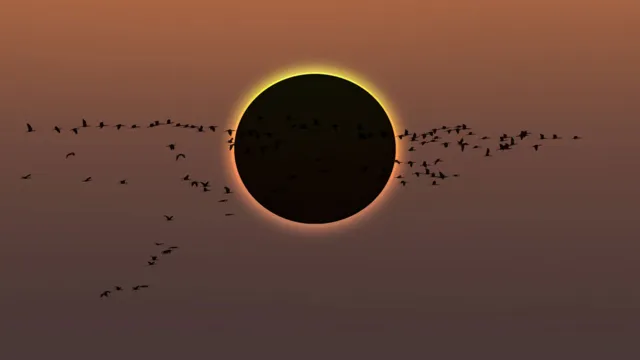 Imagem ilustrativa da notícia Eclipse solar de hoje só será visto no Brasil em 2045