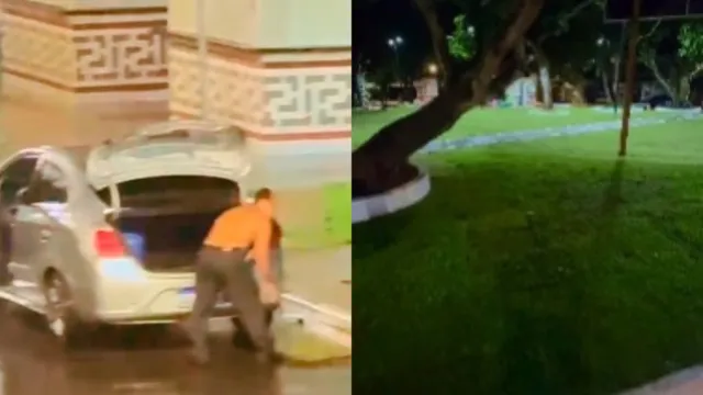 Imagem ilustrativa da notícia Vídeo: homem furta grama de praça recém-inaugurada em Belém