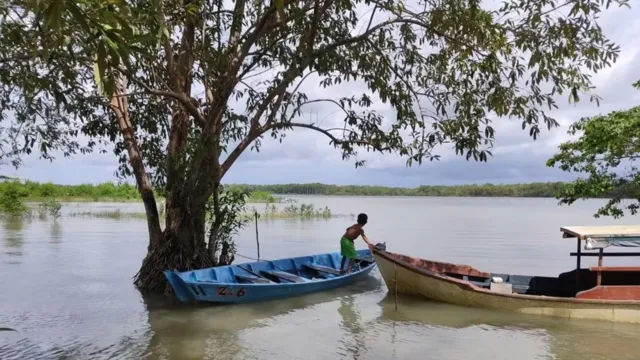 Imagem ilustrativa da notícia Uso ilegal de lanchas faz ilha desaparecer no Pará