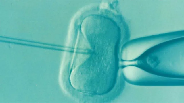 Imagem ilustrativa da notícia SUS oferece congelamento de óvulos para mulheres com câncer