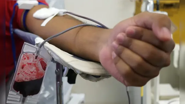 Imagem ilustrativa da notícia Paciente precisa de doação de sangue com urgência em Belém