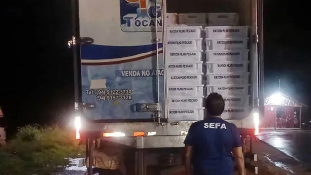 Imagem ilustrativa da notícia Carga de seis toneladas de peixe é apreendida no Pará