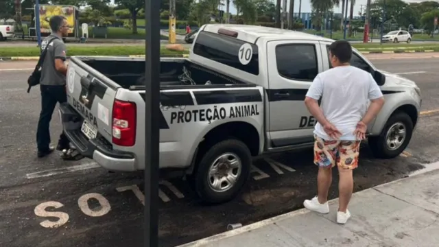 Imagem ilustrativa da notícia Falso médico veterinário é preso em Castanhal