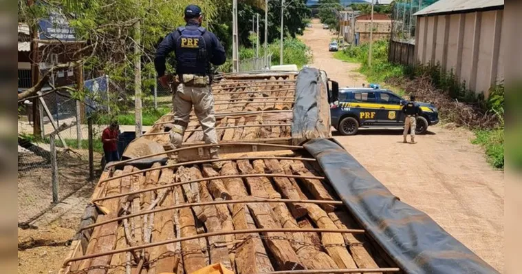Imagem ilustrativa da notícia PRF apreende 50 m³ de madeira ilegal em Redenção