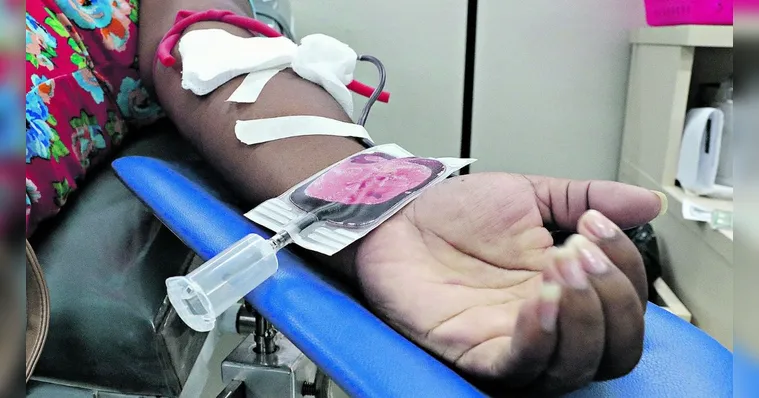 Imagem ilustrativa da notícia Quem teve dengue só pode doar sangue depois de 1 mês
