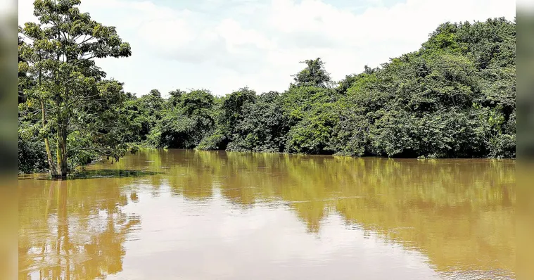 Imagem ilustrativa da notícia Pará usa tecnologia inédita na gestão ambiental