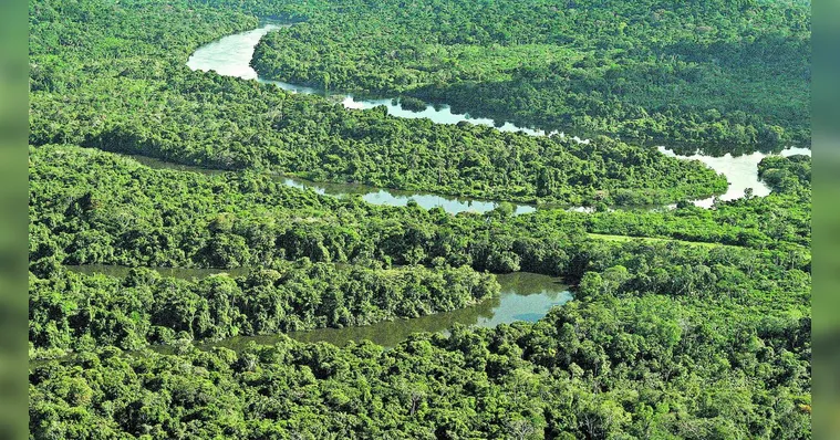 Imagem ilustrativa da notícia Governo Federal inclui mais 33 áreas do Pará no Bolsa Verde