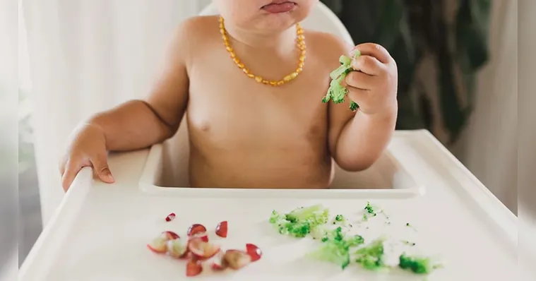 Imagem ilustrativa da notícia Como evitar engasgos durante a introdução alimentar