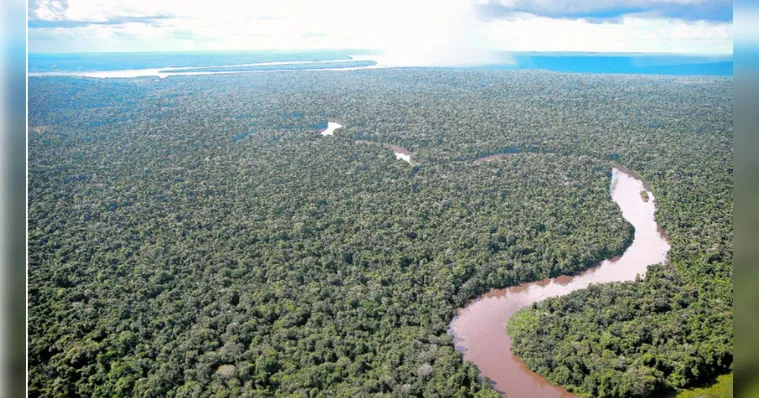 Imagem ilustrativa da notícia Pará e estados da Amazônia negociam créditos de carbono