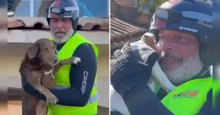 Imagem ilustrativa da notícia Frota salva animais e faz desabafo no RS: “dormi no carro”