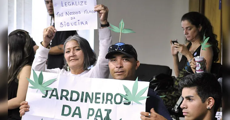 Imagem ilustrativa da notícia STF suspende julgamento pela descriminalização de maconha