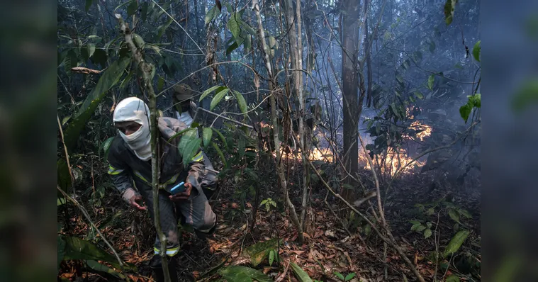 Imagem ilustrativa da notícia Documentário mostra brigadistas que combatem incêndios