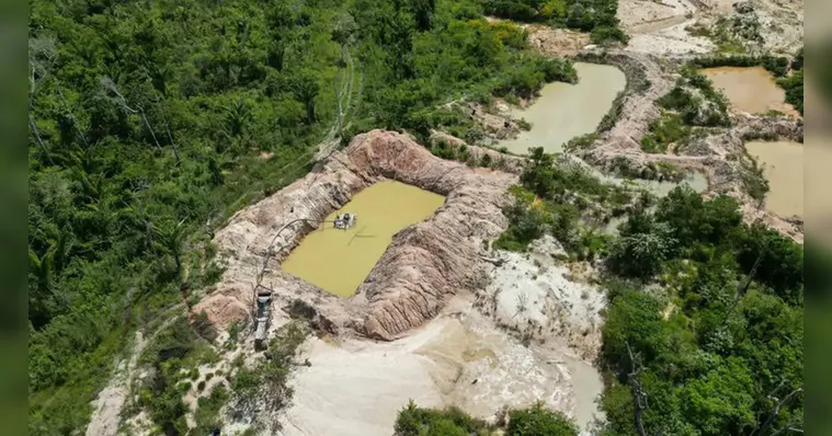 Imagem ilustrativa da notícia Polícia Federal fecha 3 garimpos em terra indígena, no Pará