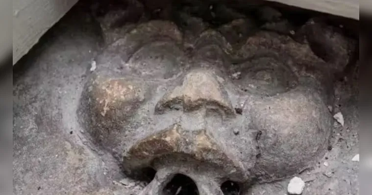 Imagem ilustrativa da notícia Gárgula medieval encontrada em banheiro revela segredo