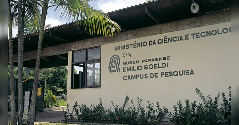 Imagem ilustrativa da notícia Museu Emílio Goeldi abre vagas para estágio em Belém