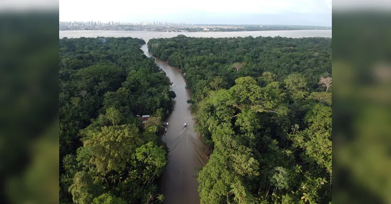Imagem ilustrativa da notícia Ilha do Combu passará por modernização de rede elétrica