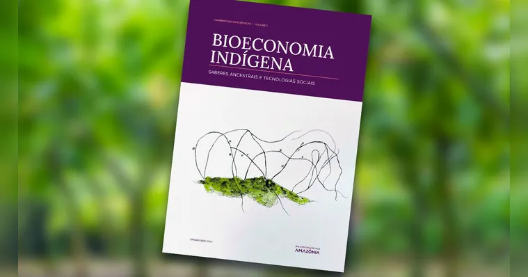 Imagem ilustrativa da notícia Povos indígenas assumem protagonismo na bioeconomia