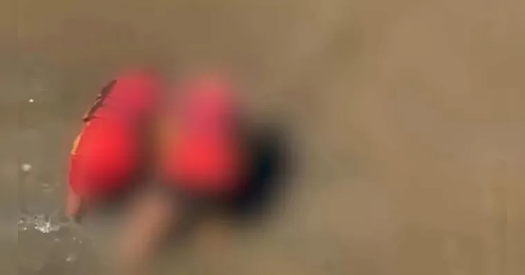 Imagem ilustrativa da notícia Corpo de homem é encontrado às margens do Rio Guamá