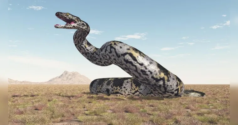 Imagem ilustrativa da notícia Veja a maior cobra que existiu na Terra, maior que um T-Rex