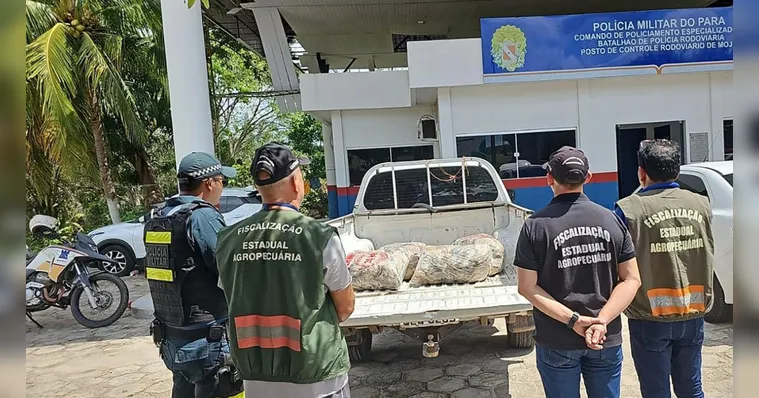 Imagem ilustrativa da notícia Governo restringe saída do pescado para a Semana Santa
