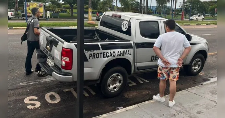 Imagem ilustrativa da notícia Falso médico veterinário é preso em Castanhal