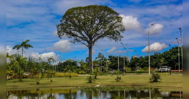 Imagem ilustrativa da notícia Parque do Utinga celebra 31 anos com programação especial