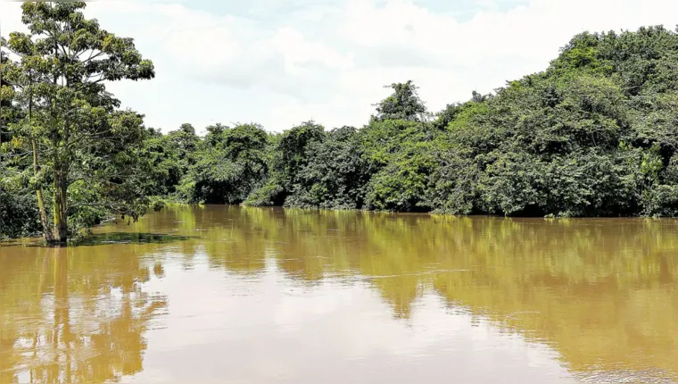 Imagem ilustrativa da notícia Pará usa tecnologia inédita na gestão ambiental