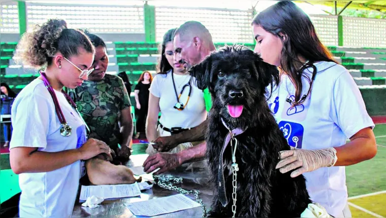 Imagem ilustrativa da notícia Ufra dará orientações clínicas veterinárias gratuitas