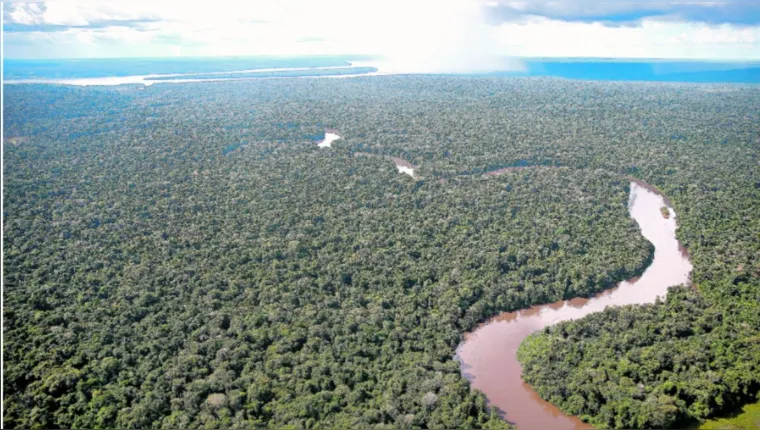Imagem ilustrativa da notícia Pará e estados da Amazônia negociam créditos de carbono