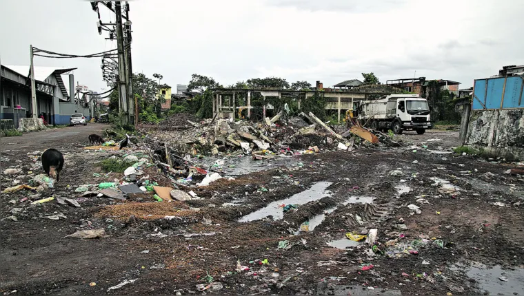 Imagem ilustrativa da notícia Lixo e buracos, uma rotina sem fim na capital