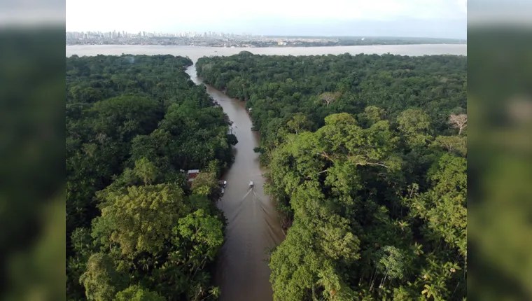 Imagem ilustrativa da notícia Ilha do Combu passará por modernização de rede elétrica