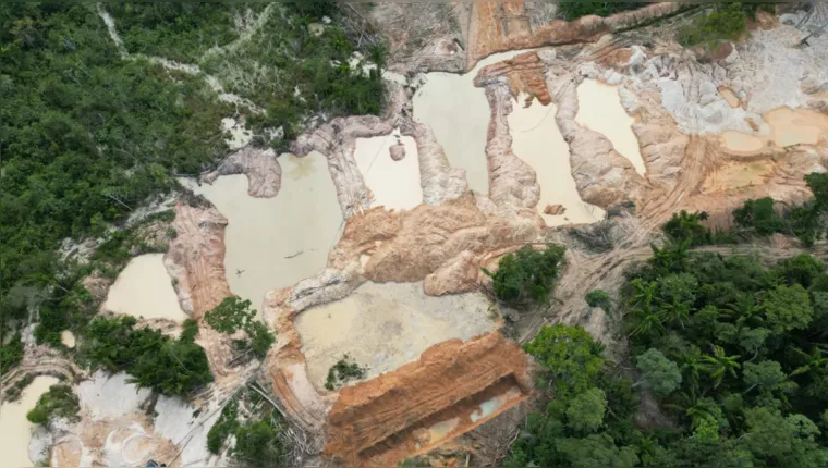 Imagem ilustrativa da notícia PF fecha garimpo ilegal em Terra Indígena Kayapó, no Pará