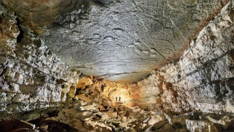 Imagem ilustrativa da notícia Pegadas de dinossauros são achadas em caverna na França