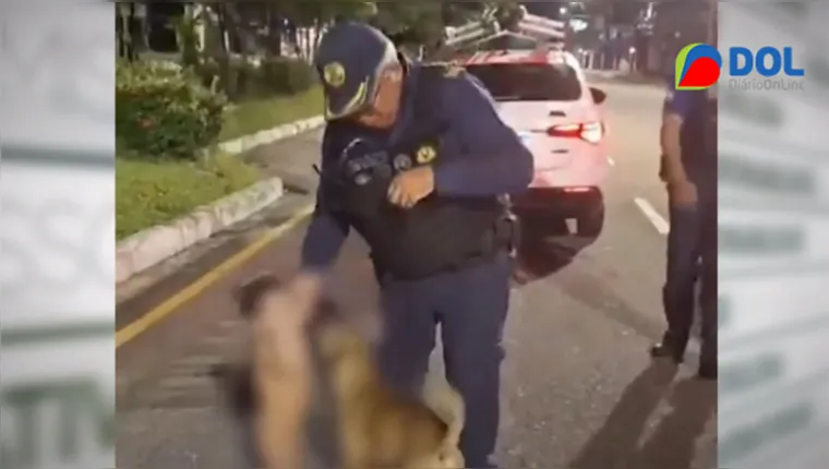 Imagem ilustrativa da notícia Criança é resgatada ao lado de cachorro em avenida de Belém