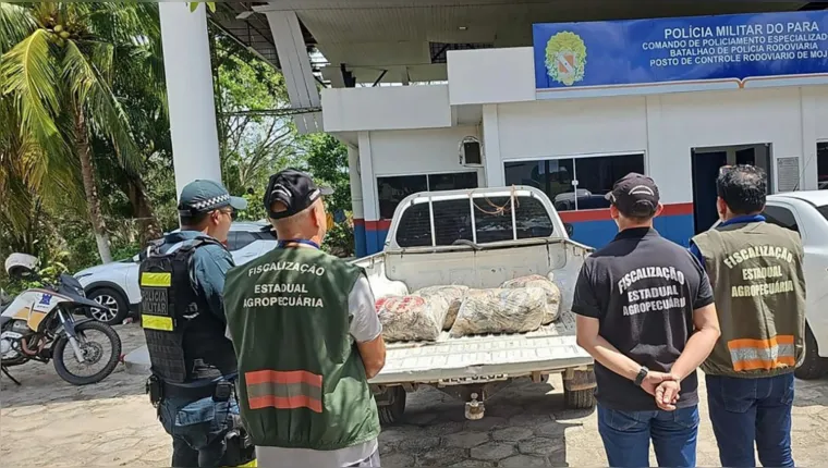 Imagem ilustrativa da notícia Governo restringe saída do pescado para a Semana Santa