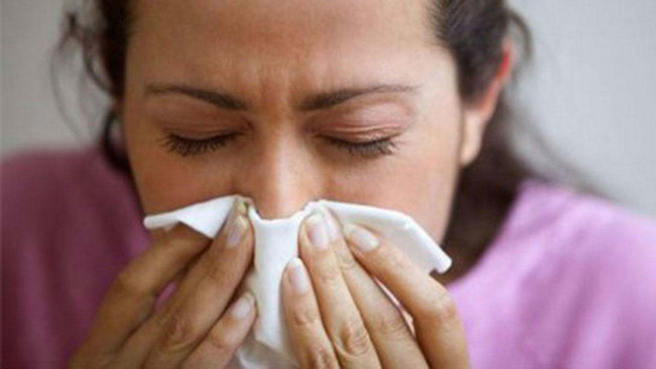 Vírus Sincicial Respiratório tem se destacado como a principal causa de incidência e óbitos por Síndrome Respiratória