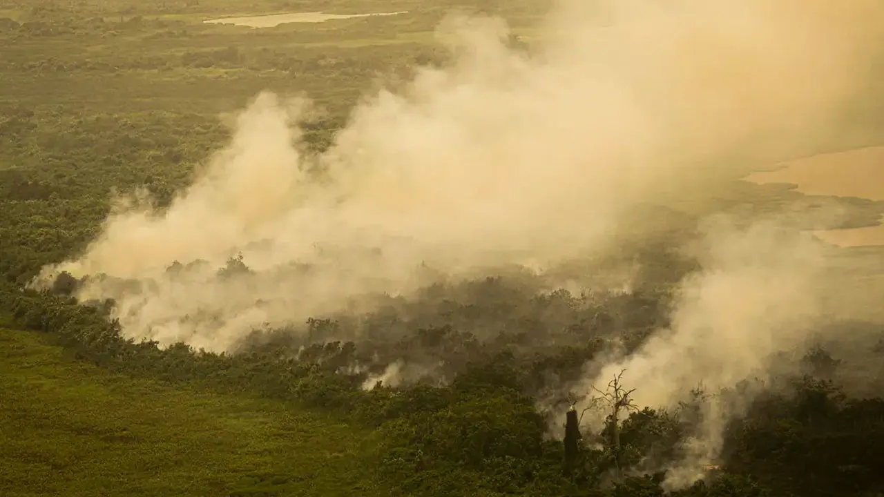 12 mil litros de água serão lançados para combater os incêndios no Pantana