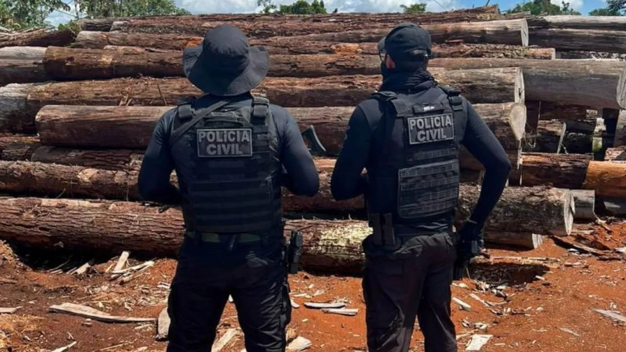 Polícia Federal prende madeira ilegal