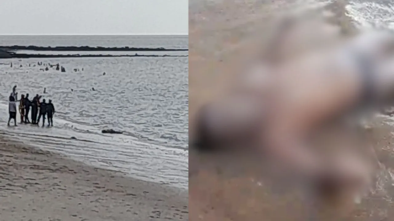 O corpo foi encontrado na beira de uma das praias da Ilha do Mosqueiro